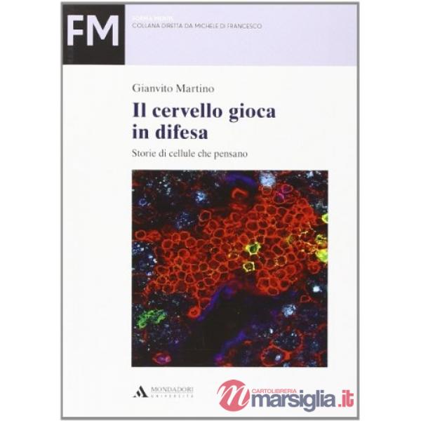 CERVELLO GIOCA IN DIFESA