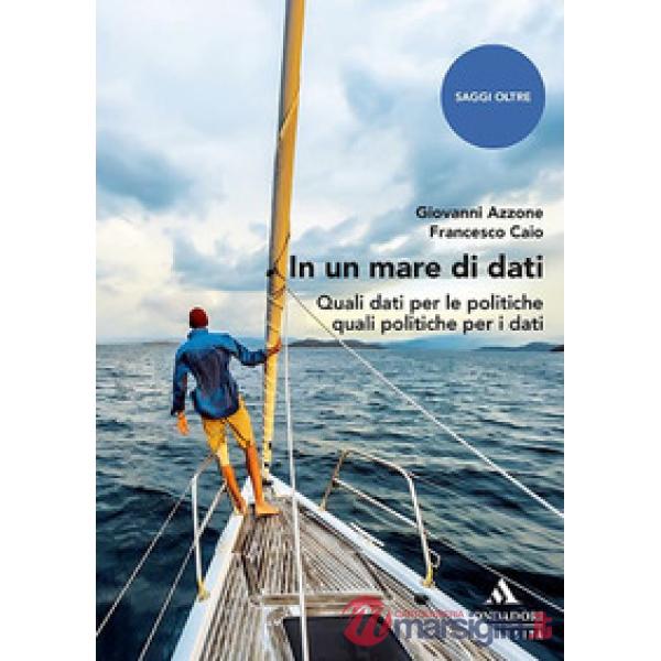 IN UN MARE DI DATI