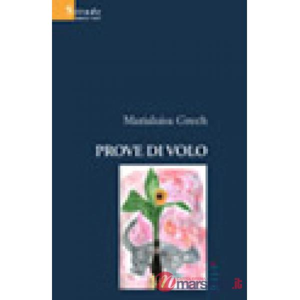 Prove di volo