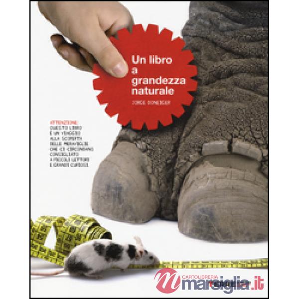 Libro a grandezza naturale. Ediz. illustrata (Un)