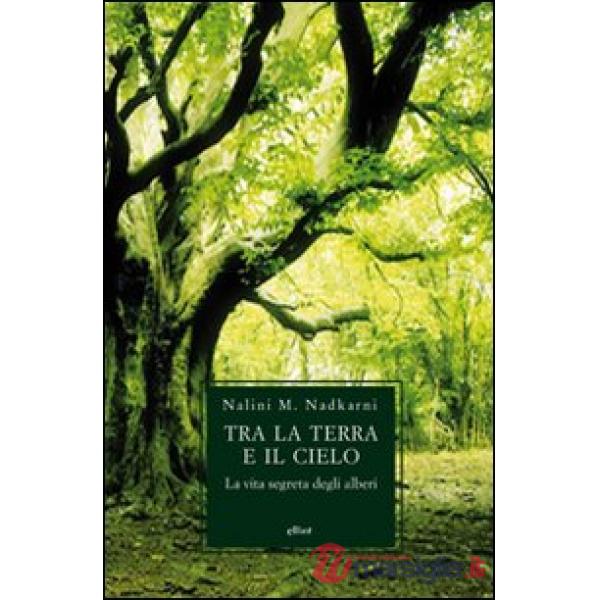 Tra la terra e il cielo. La vita segreta degli alberi