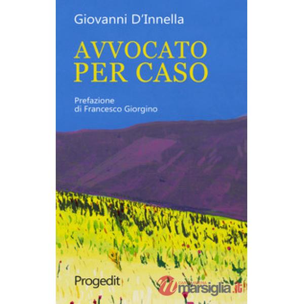 Avvocato per caso