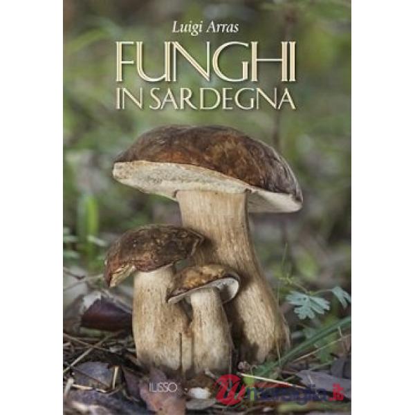 Funghi in Sardegna