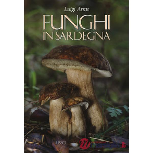 Funghi in Sardegna