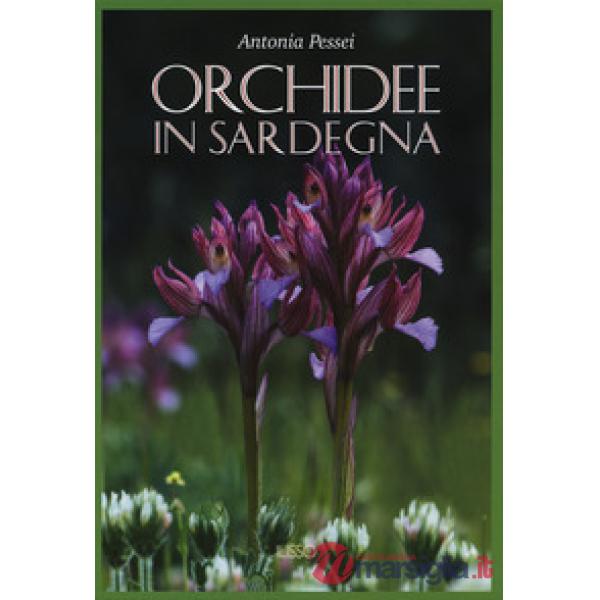 Orchidee in Sardegna. Ediz. a colori