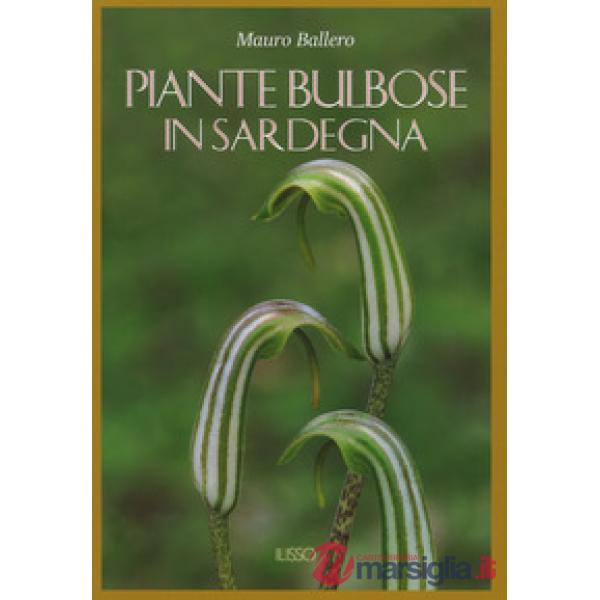 Piante bulbose in Sardegna. Ediz. a colori