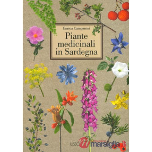 Piante medicinali in Sardegna. Ediz. a colori