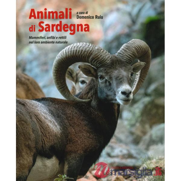 Animali di Sardegna. Mammiferi, anfibi e rettili nel loro ambiente naturale. Ediz. a colori