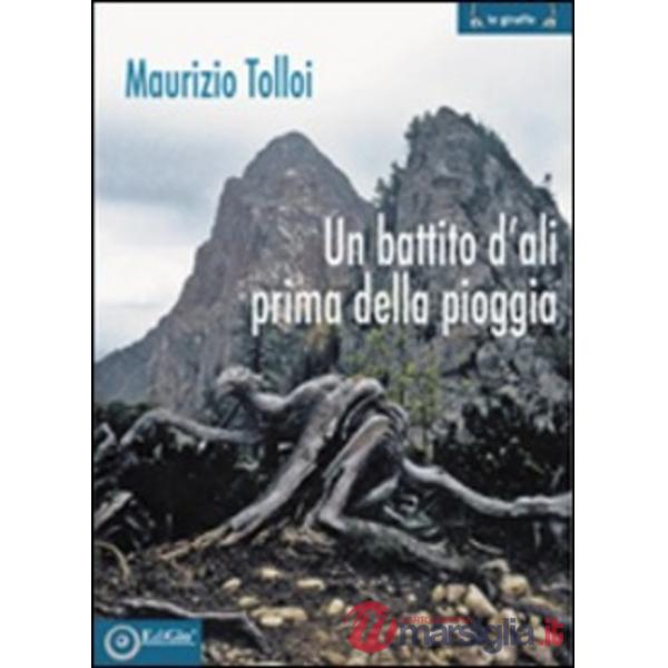 Battito d'ali prima della pioggia (Un)