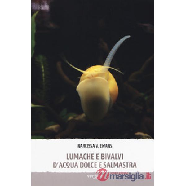 Lumache e bivalvi d'acqua dolce e salmastra