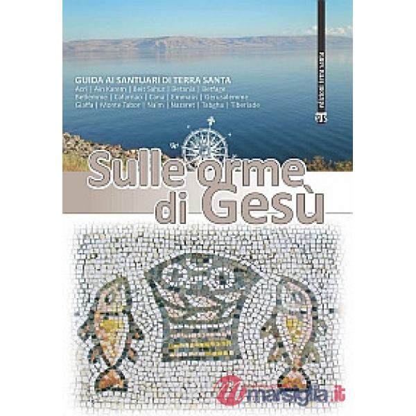 Sulle orme di Gesù. Guida ai santuari di Terra Santa. Ediz. ampliata