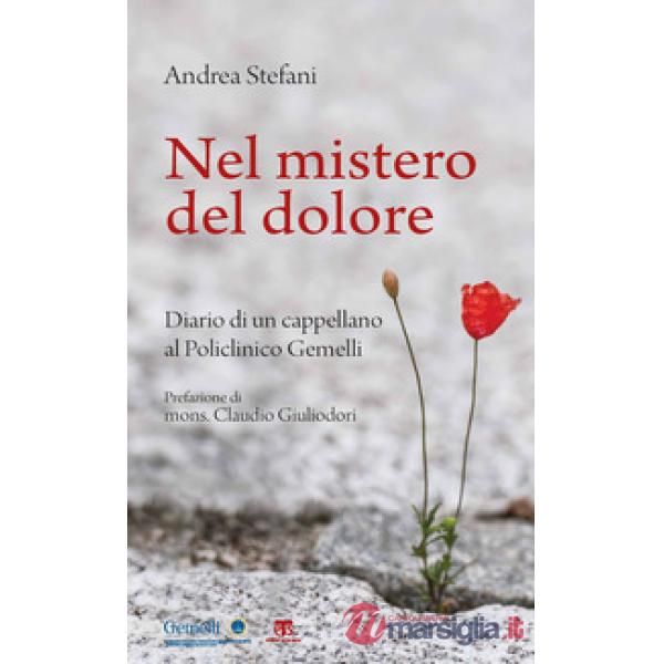 Nel mistero del dolore. Diario di un cappellano al Policlinico Gemelli