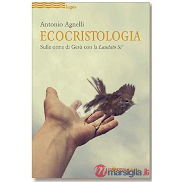 Ecocristologia. Sulle orme di Gesù con la Laudato si'