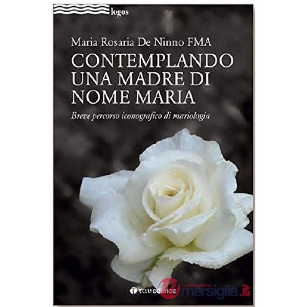 Contemplando una madre di nome Maria. Breve percorso iconografico di mariologia