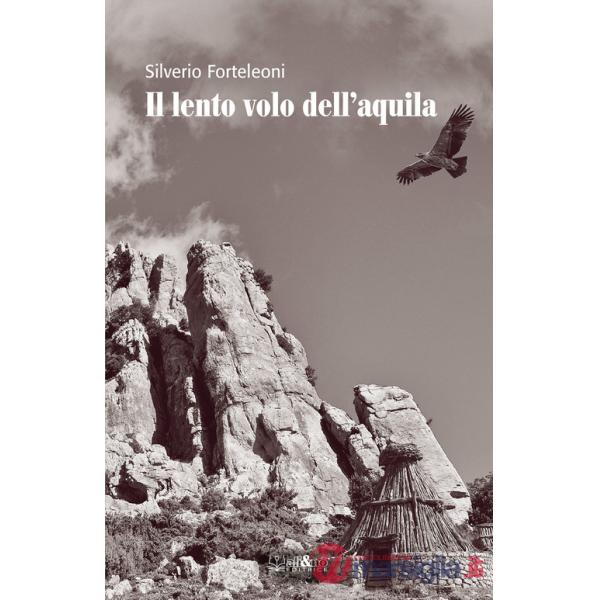 Lento volo dell'aquila (Il)