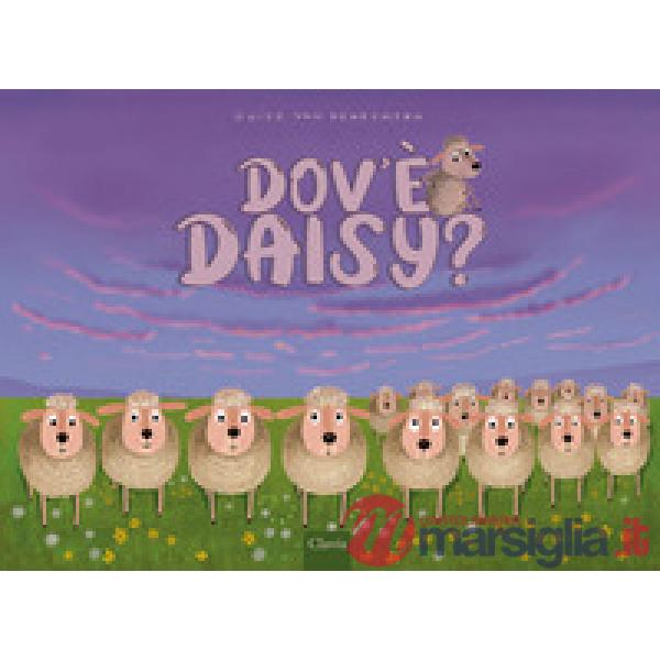 Dov'è Daisy? Ediz. a colori