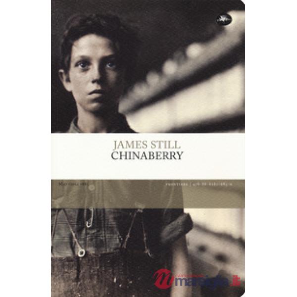 Chinaberry
