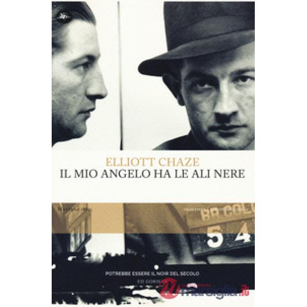 Mio angelo ha le ali nere (Il)