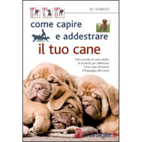 Come capire e addestrare il tuo cane