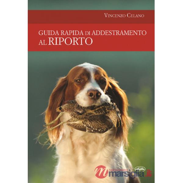 Guida rapida di addestramento al riporto