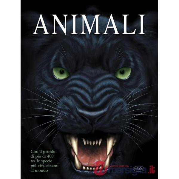 Animali. Ediz. a colori