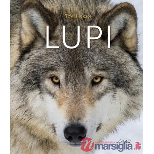 Lupi