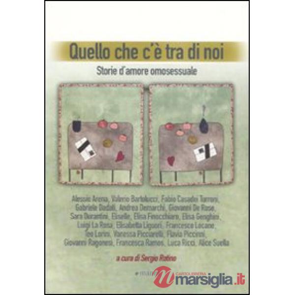 Quello che c'è tra di noi. Storie d'amore omosessuale