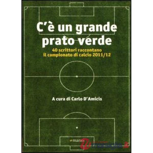 C'è un grande prato verde. 40 scrittori raccontano il campionato di calcio 2011/12