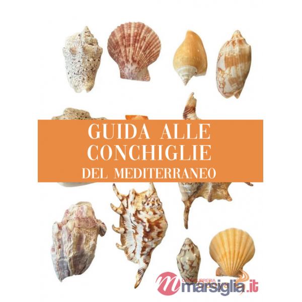 Guida alle conchiglie del Mediterraneo