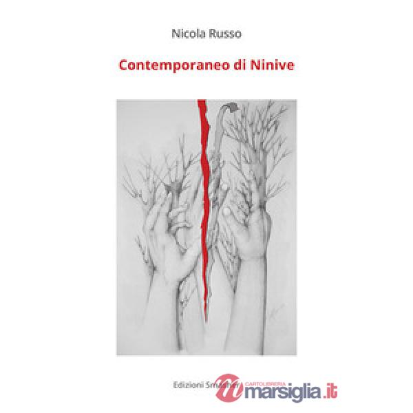 Contemporaneo di Ninive