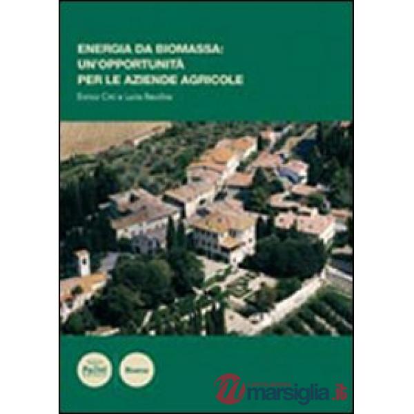 Energia di biomassa: un'opportunità per le aziende agricole