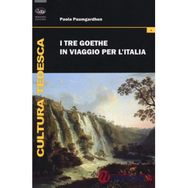Tre Goethe in viaggio per l'Italia (I)