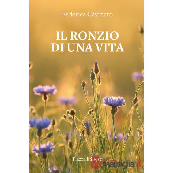 Ronzio di una vita (Il)