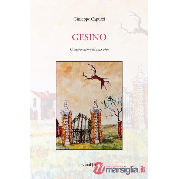 Gesino. Conservazione di una vita