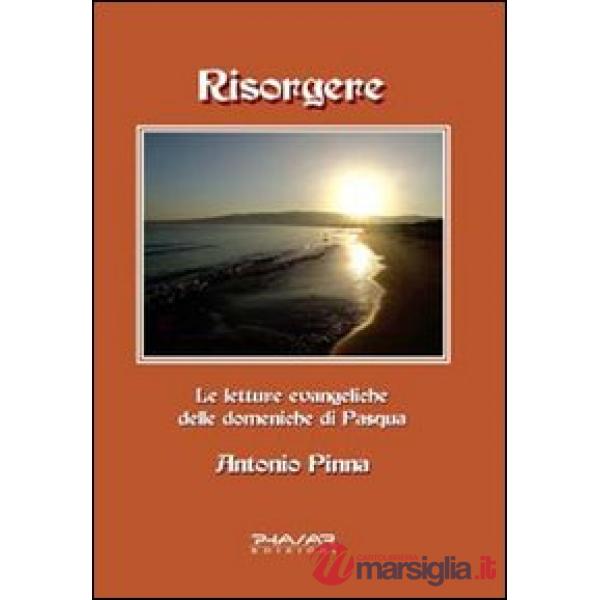 Risorgere. Le letture evangeliche delle domeniche di Pasqua