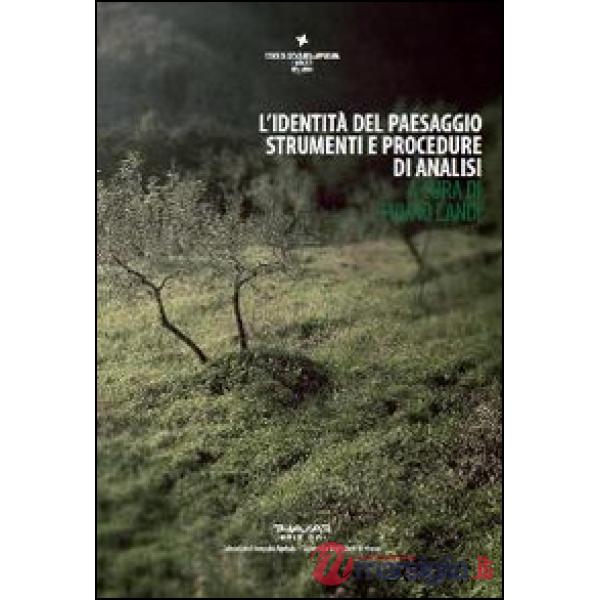 Identità del paesaggio. Strumenti e procedure di analisi (L')