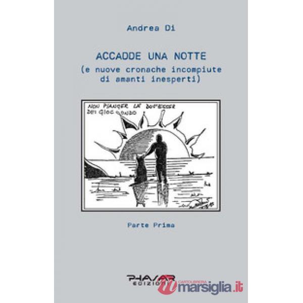 Accadde una notte (e nuove cronache incompiute di amanti inesperti). Vol. 1