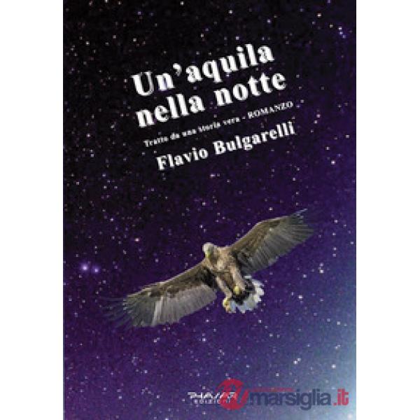 Aquila nella notte (Un')