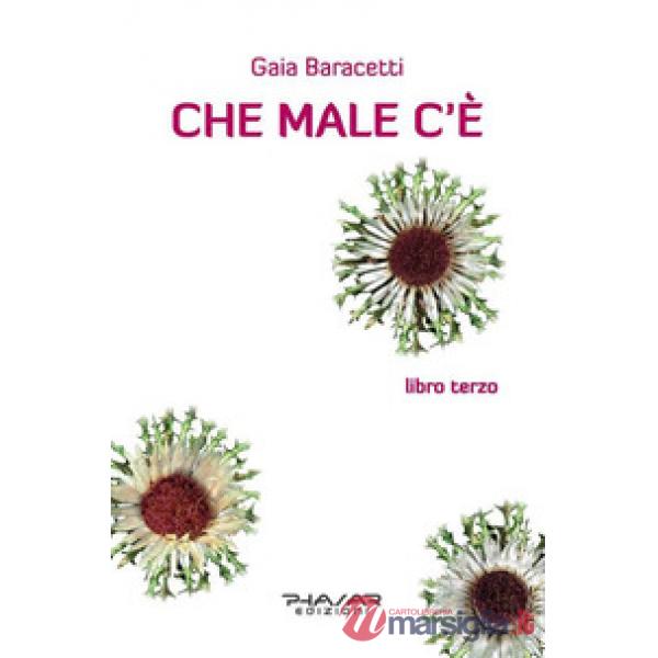Che male c'è. Libro terzo