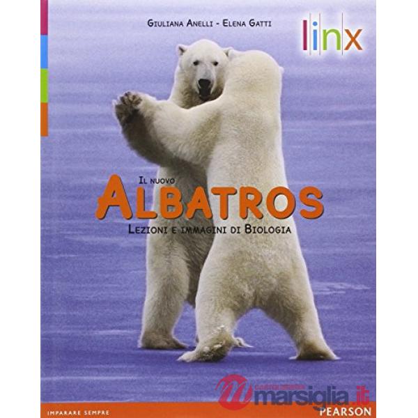 NUOVO ALBATROS