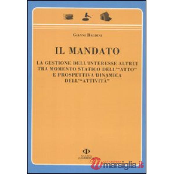 Mandato. La gestione dell'interesse altrui tra momento statico dell'«atto» e prospettiva dinamica dell'«attività» (Il)