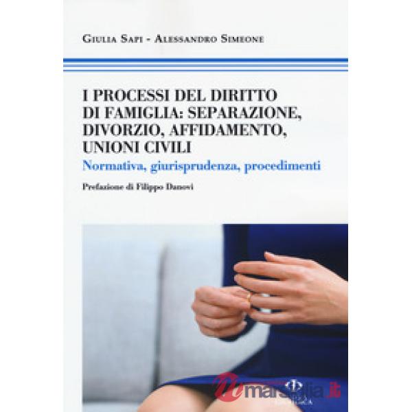 Processi del diritto di famiglia: separazione, divorzio, affidamento, unioni civili. Normativa, giurisprudenza, procedimenti (I)