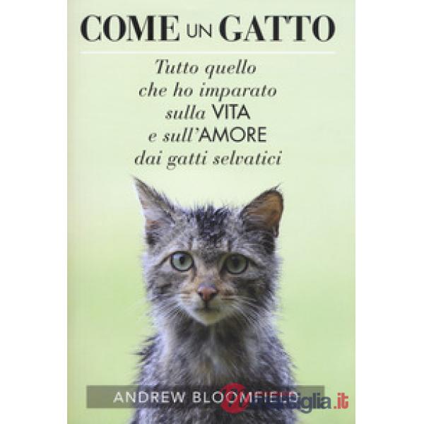 Come un gatto. Tutto quello che ho imparato sulla vita e sull'amore dai gatti se