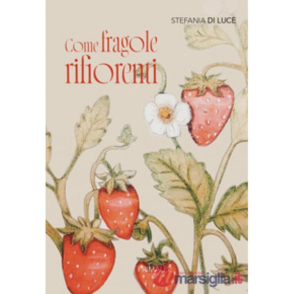 Come fragole rifiorenti