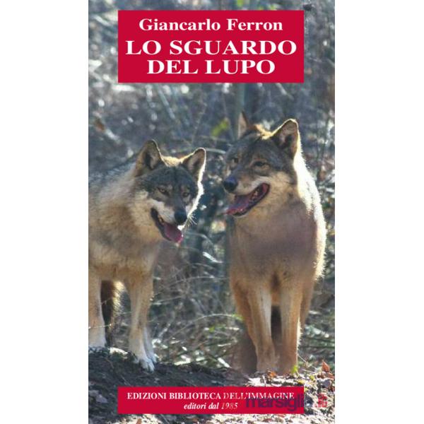 Sguardo del lupo (Lo)