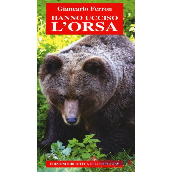Hanno ucciso l'orsa