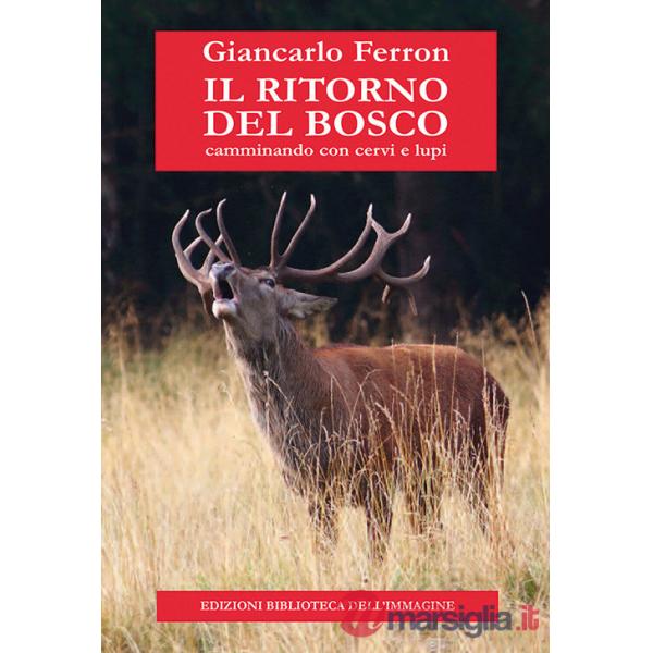 Ritorno del bosco. Camminando con cervi e lupi (Il)