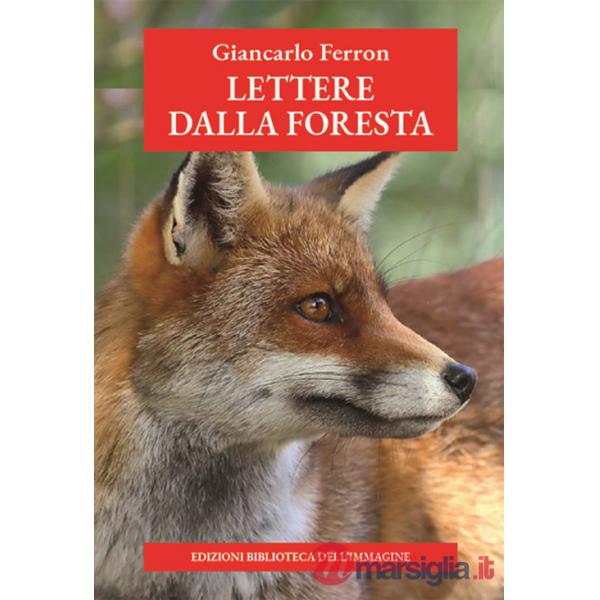 Lettere dalla foresta