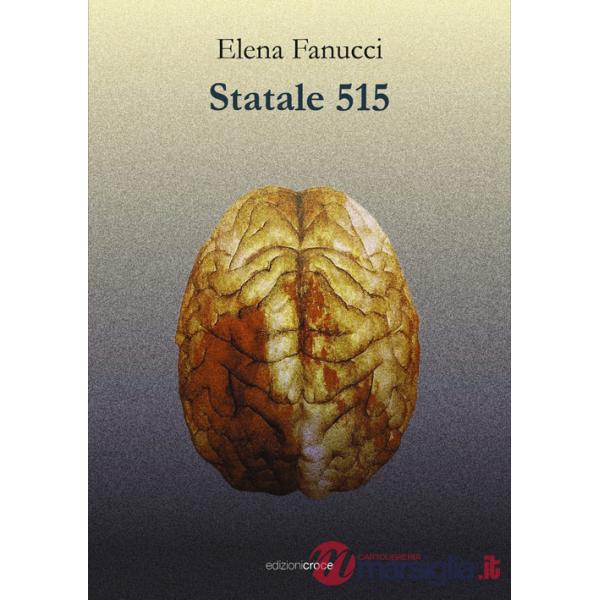 Statale 515