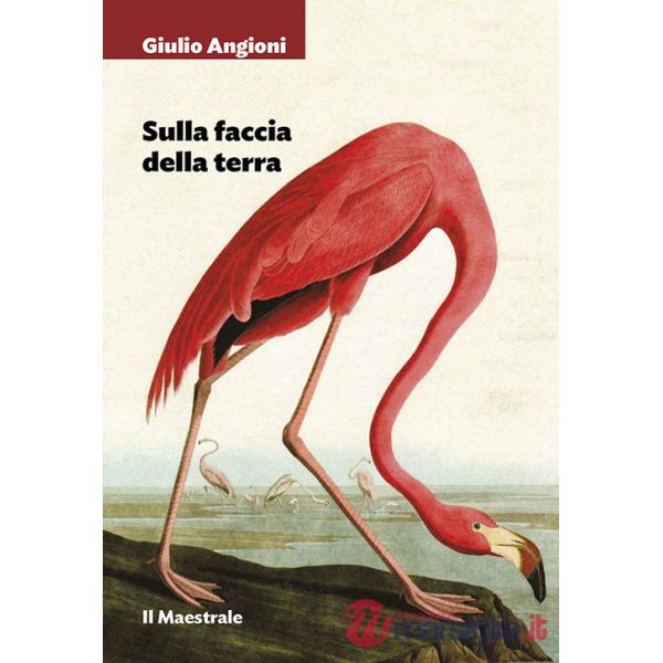 Sulla faccia della terra